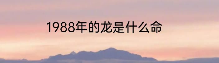 1988年的龙是什么命