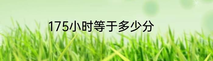 175小时等于多少分