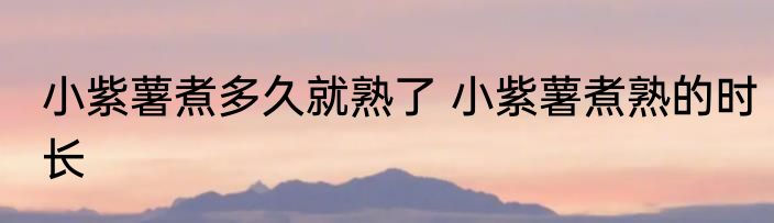 小紫薯煮多久就熟了 小紫薯煮熟的时长