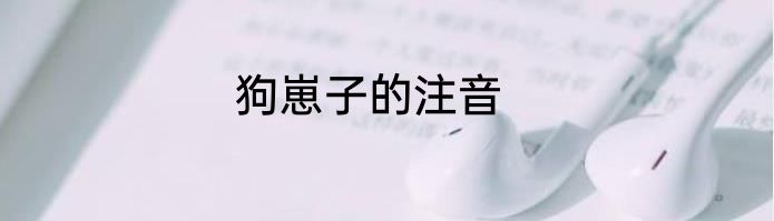 狗崽子的注音