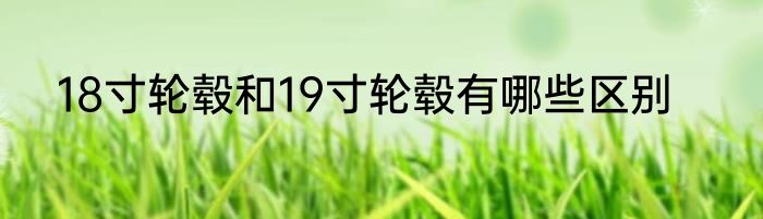 18寸轮毂和19寸轮毂有哪些区别