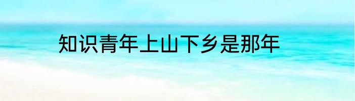 知识青年上山下乡是那年
