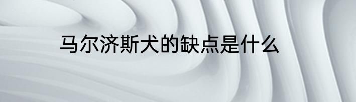 马尔济斯犬的缺点是什么