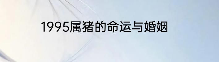 1995属猪的命运与婚姻