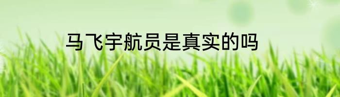 马飞宇航员是真实的吗