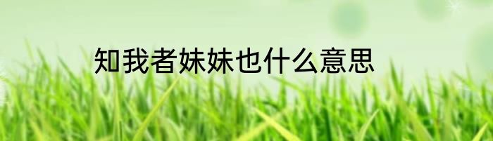 知我者妹妹也什么意思