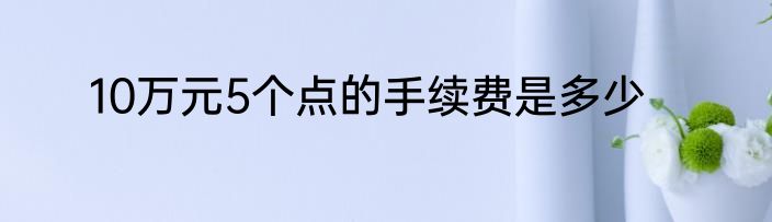 10万元5个点的手续费是多少