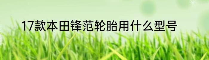 17款本田锋范轮胎用什么型号