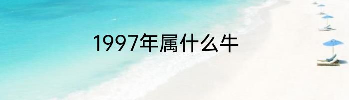 1997年属什么牛