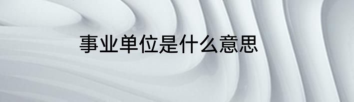 事业单位是什么意思