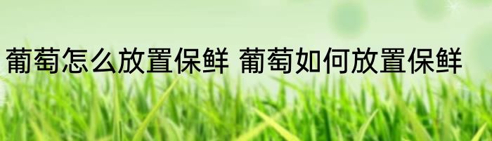 葡萄怎么放置保鲜 葡萄如何放置保鲜