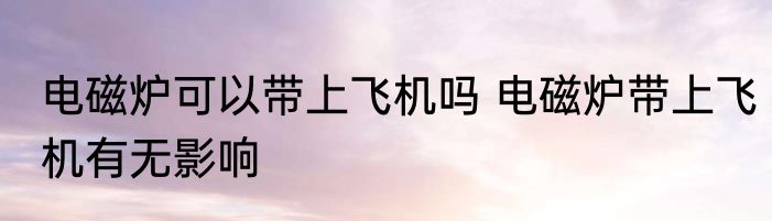 电磁炉可以带上飞机吗 电磁炉带上飞机有无影响