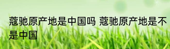 蔻驰原产地是中国吗 蔻驰原产地是不是中国