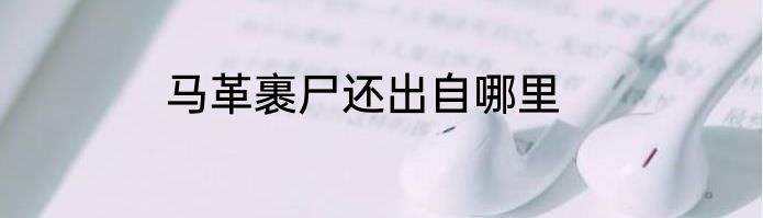 马革裹尸还出自哪里