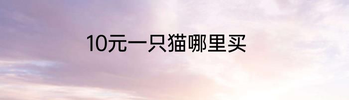 10元一只猫哪里买