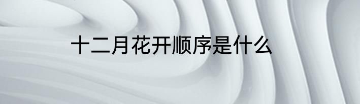 十二月花开顺序是什么