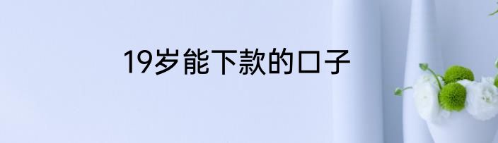 19岁能下款的口子