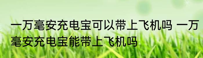 一万毫安充电宝可以带上飞机吗 一万毫安充电宝能带上飞机吗