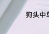 狗头中单的最新出装