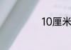 10厘米等于多分米