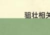 驵壮相关的词语是什么