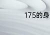 175的身高臂展得多长