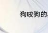 狗咬狗的其他释义是什么