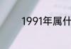 1991年属什么今年多大年龄