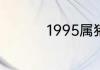 1995属猪的命运与婚姻