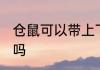 仓鼠可以带上飞机吗 仓鼠能带上飞机吗