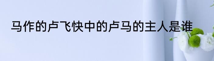 马作的卢飞快中的卢马的主人是谁