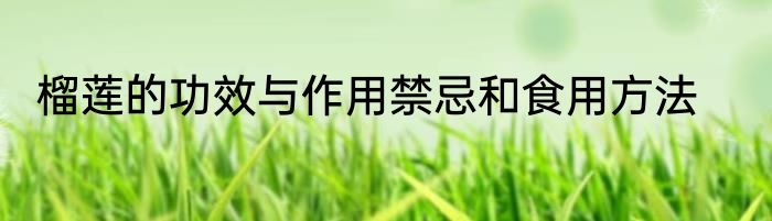 榴莲的功效与作用禁忌和食用方法