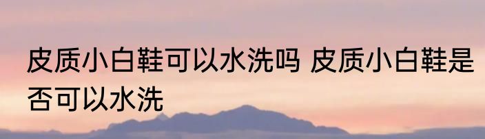 皮质小白鞋可以水洗吗 皮质小白鞋是否可以水洗