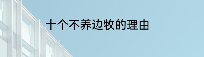 十个不养边牧的理由