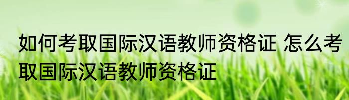 如何考取国际汉语教师资格证 怎么考取国际汉语教师资格证