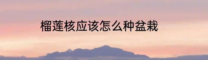 榴莲核应该怎么种盆栽