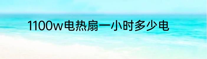 1100w电热扇一小时多少电