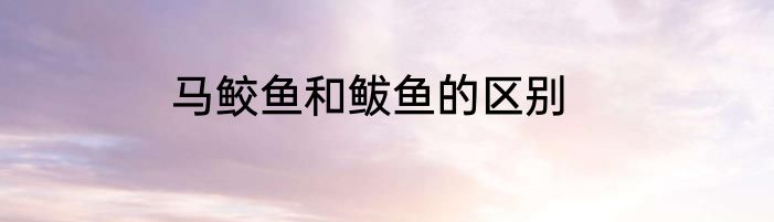 马鲛鱼和鲅鱼的区别