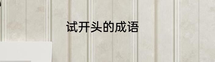试开头的成语
