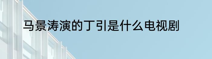 马景涛演的丁引是什么电视剧