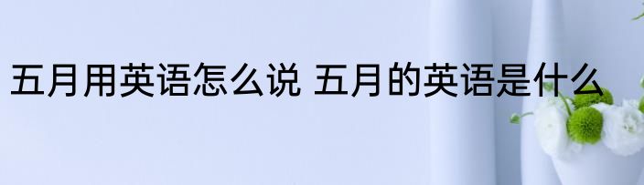 五月用英语怎么说 五月的英语是什么