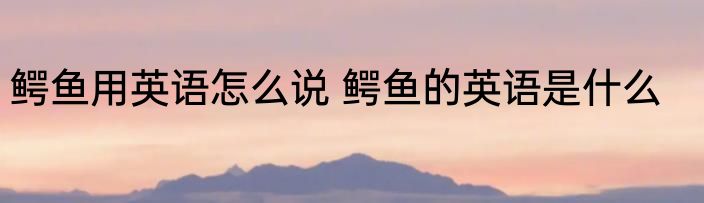 鳄鱼用英语怎么说 鳄鱼的英语是什么
