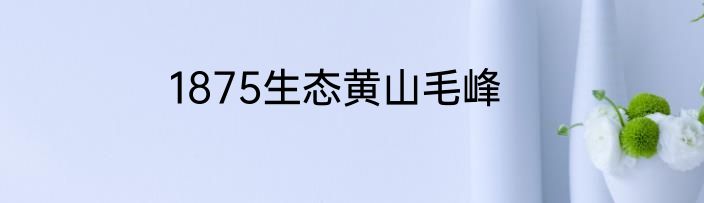 1875生态黄山毛峰