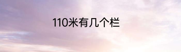 110米有几个栏