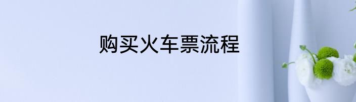 购买火车票流程