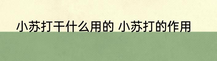 小苏打干什么用的 小苏打的作用