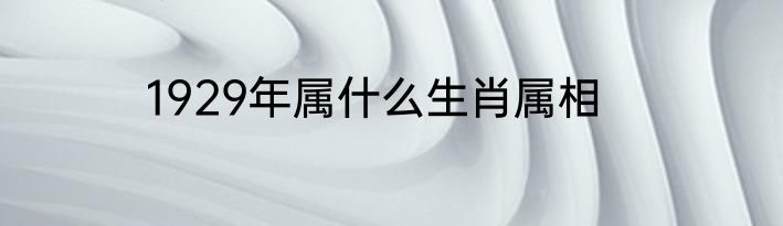 1929年属什么生肖属相