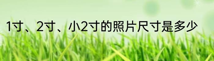 1寸、2寸、小2寸的照片尺寸是多少