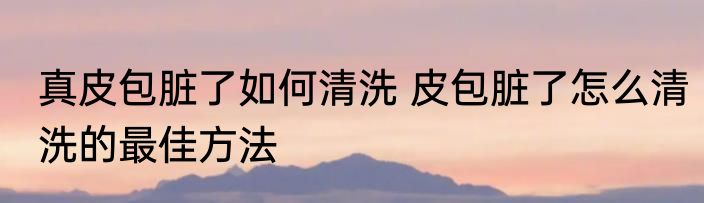 真皮包脏了如何清洗 皮包脏了怎么清洗的最佳方法