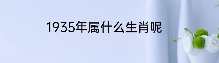 1935年属什么生肖呢